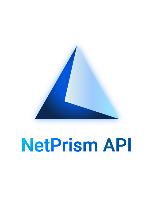 NetPrism API Image